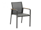 Zebra Bee Sessel graphite Armlehnen Teak